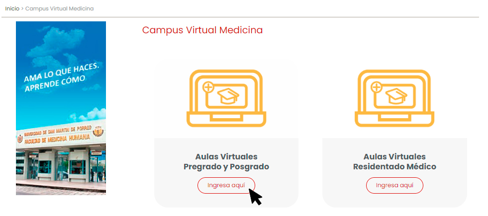 captura de campus virtual