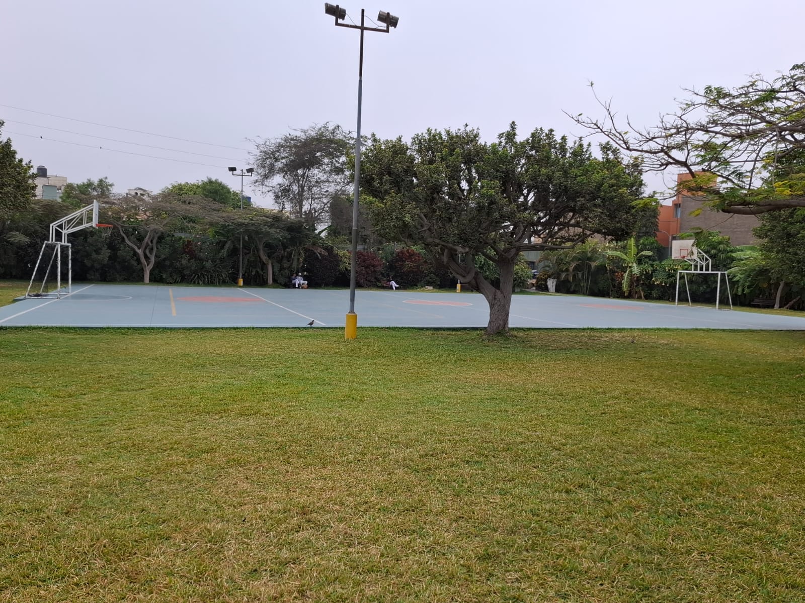 losa-deportiva